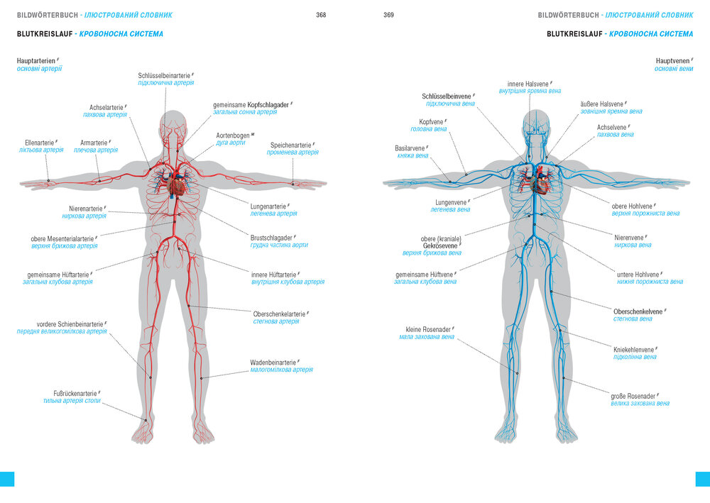 Німецько-український та українсько-німецький медичний словник з двомовними анатомічними ілюстраціями